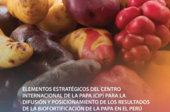 Elementos estratégicos del CIP para la difusión y posicionamiento de los resultados de la biofortificación de la papa en el Perú