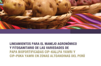 Lineamientos para el manejo agronómico y fitosanitario de las variedades de papa biofortificadas CIP–KALLPA YAWRI y CIP–PUKA YAWRI en zonas altoandinas del Perú