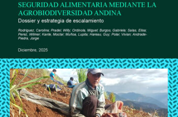 Papas biofortificadas Mejorando la nutrición y la seguridad alimentaria mediante la agrobiodiversidad andina: Dossier y estrategia de escalamiento