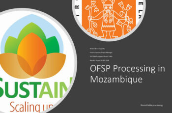 Roundtable Meeting Nairobi, Kenya - OFSP processing in Mozambique