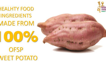 Roundtable meeting Nairobi, Kenya - Healhty food ingredients made from 100% OFSP sweet potato