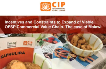 Roundtable Meeting Nairobi, Kenya - Incentives and constraints to expand of viable OFSP commercial value chain - the case of Malawi.