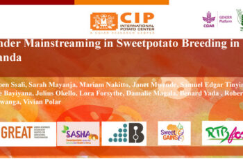 Gender mainstreaming in sweet potato breeding in Uganda
