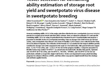 Tester selection for combining ability estimation of storage root yield and sweetpotato virus disease in sweetpotato breeding