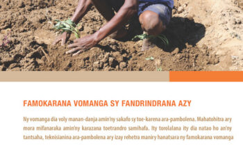 Famokarana vomanga sy fandrindrana azy