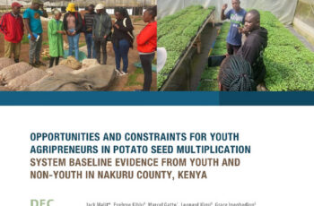 Opportunities and constraints for youth agripreneurs in potato seed multiplication system: Baseline evidence from youth and non-youth in Nakuru County, Kenya