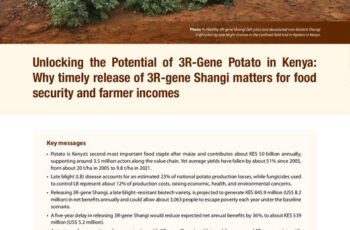 Unlocking the Potential of 3R-Gene Potato in Kenya: Why timely release of 3R-gene Shangi matters for food security and farmer incomes