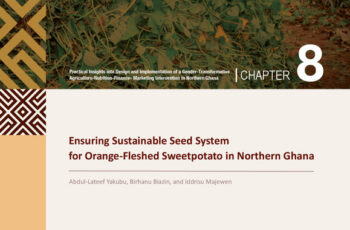 Ensuring sustainable seed system for orange-fleshed sweetpotato in Northern Ghana.