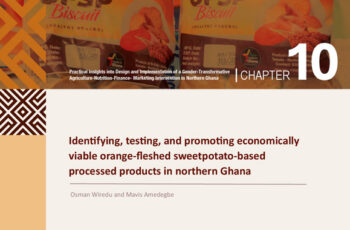 Identifying, testing, and promoting economically viable orange-fleshed sweetpotato-based processed products in northern Ghana